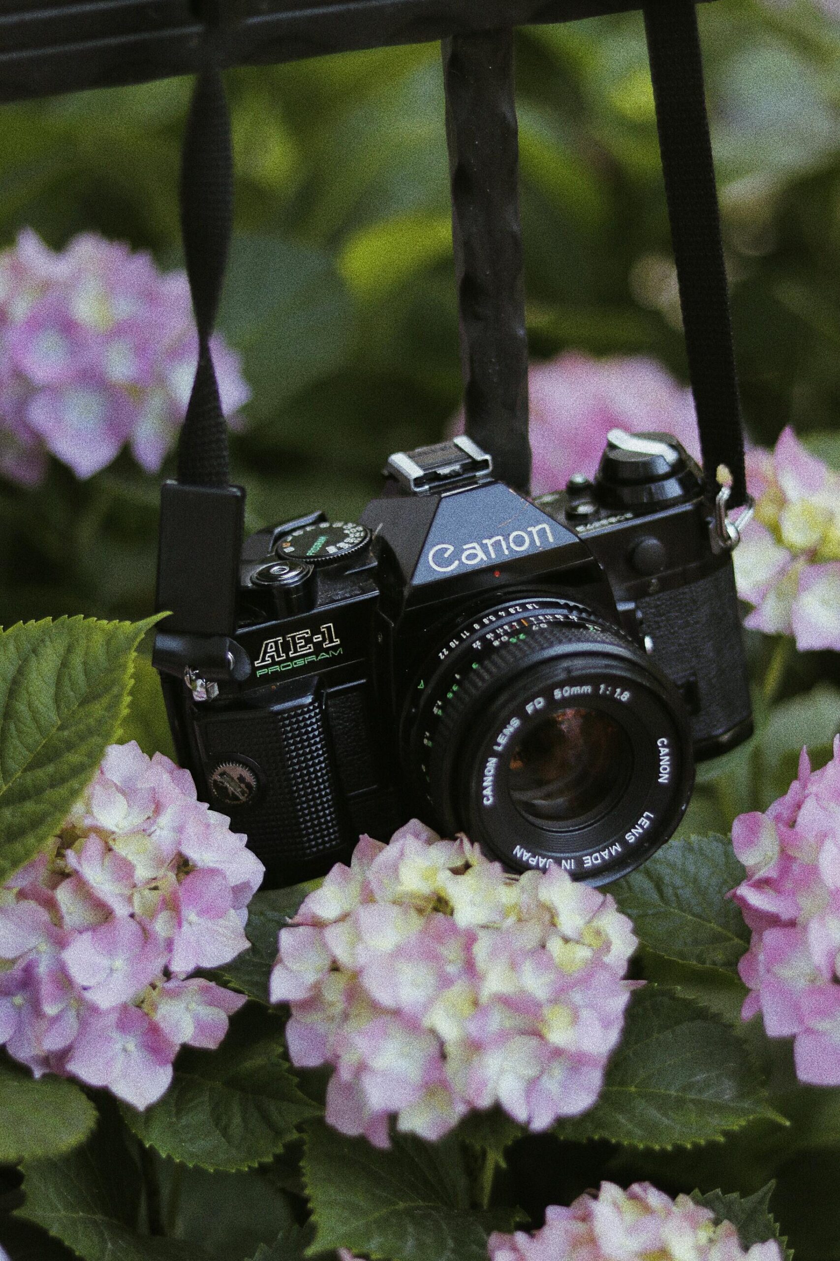 7 Things to Ask Your Photographer If You’re Getting Married by the Water